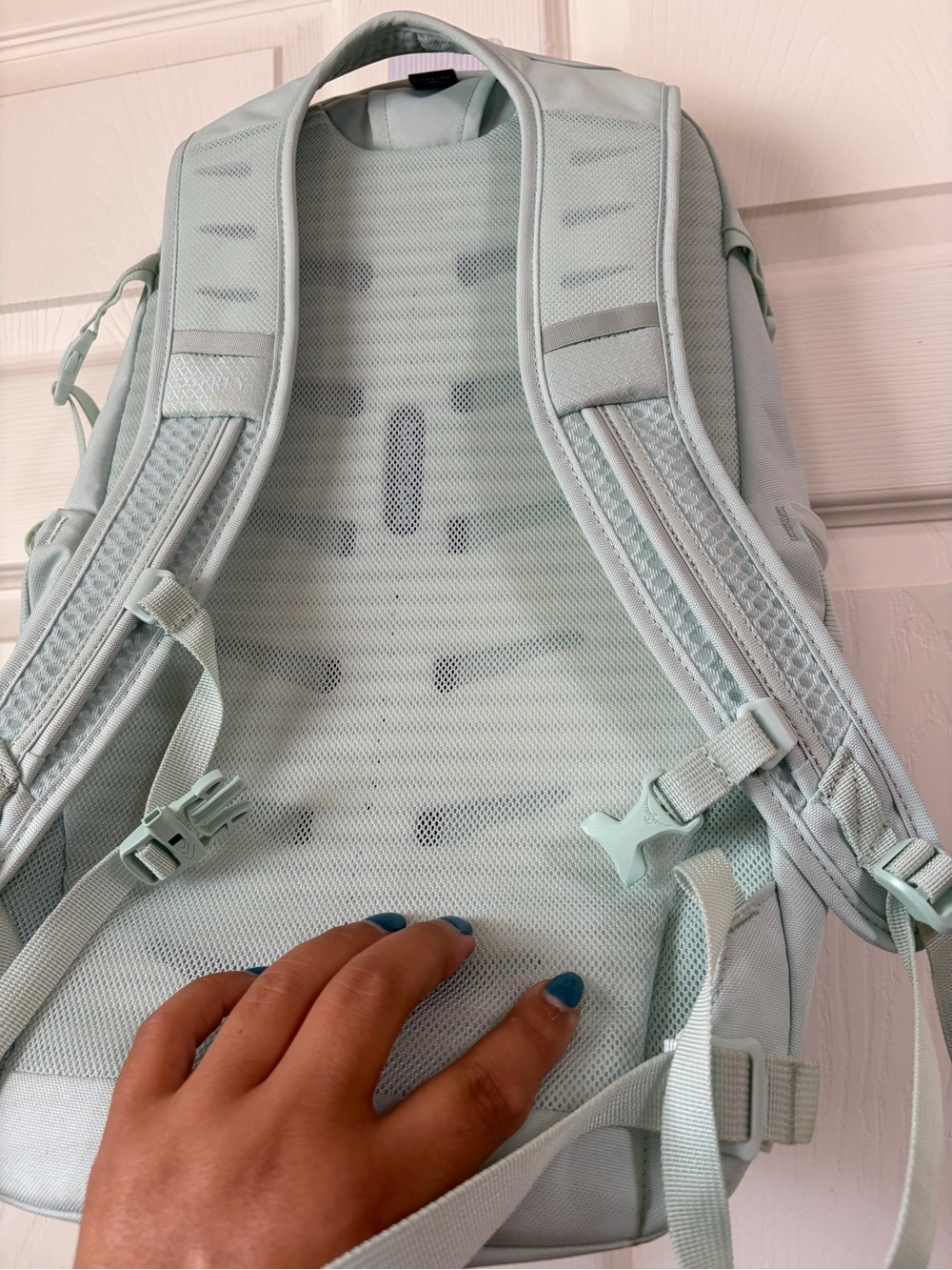 OSPREY Daylite Plus Backpack in light blue NWOT - Picture 2 of 6